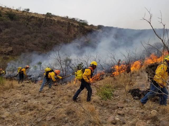 Remiten a 28 personas al Torito en la capital, en el primer fin de semana de marzo