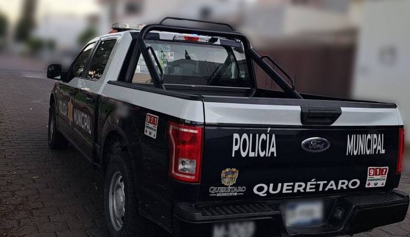 Alertan por golpes de calor entre las mascotas ante altas temperaturas