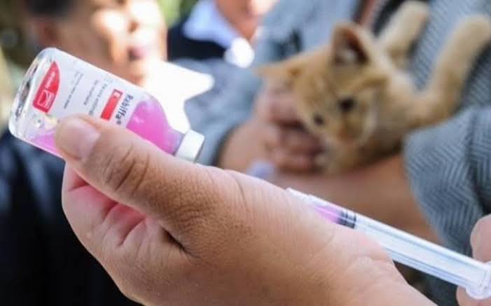 Protección a candidata queretana fue pedida antes de las elecciones: PoEs