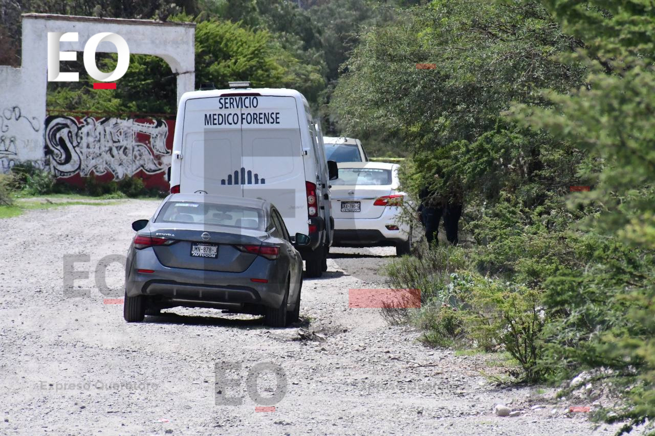 Este año no habrá feria de regreso a clases, pero sí promociones de algunos negocios