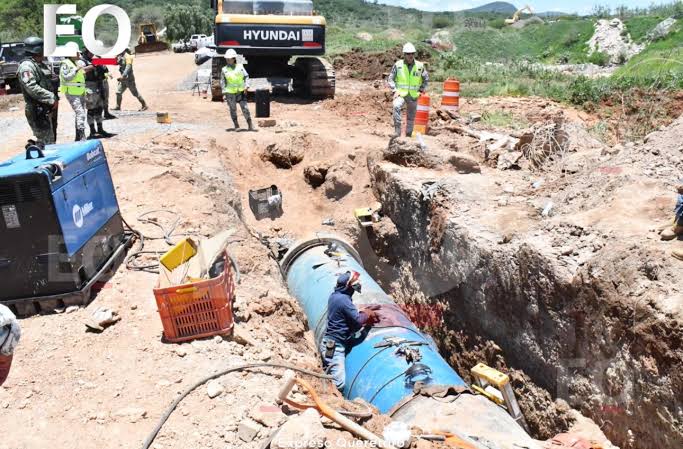 Rescatan ave “Caracara” en domicilio de Querétaro