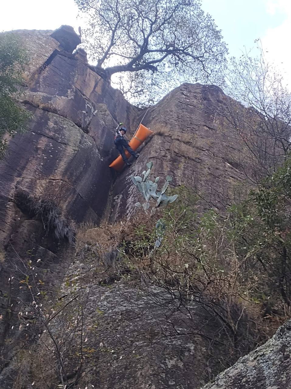 Vialidad cerrada por caída de poste en Av. Estadio en la capital de Querétaro