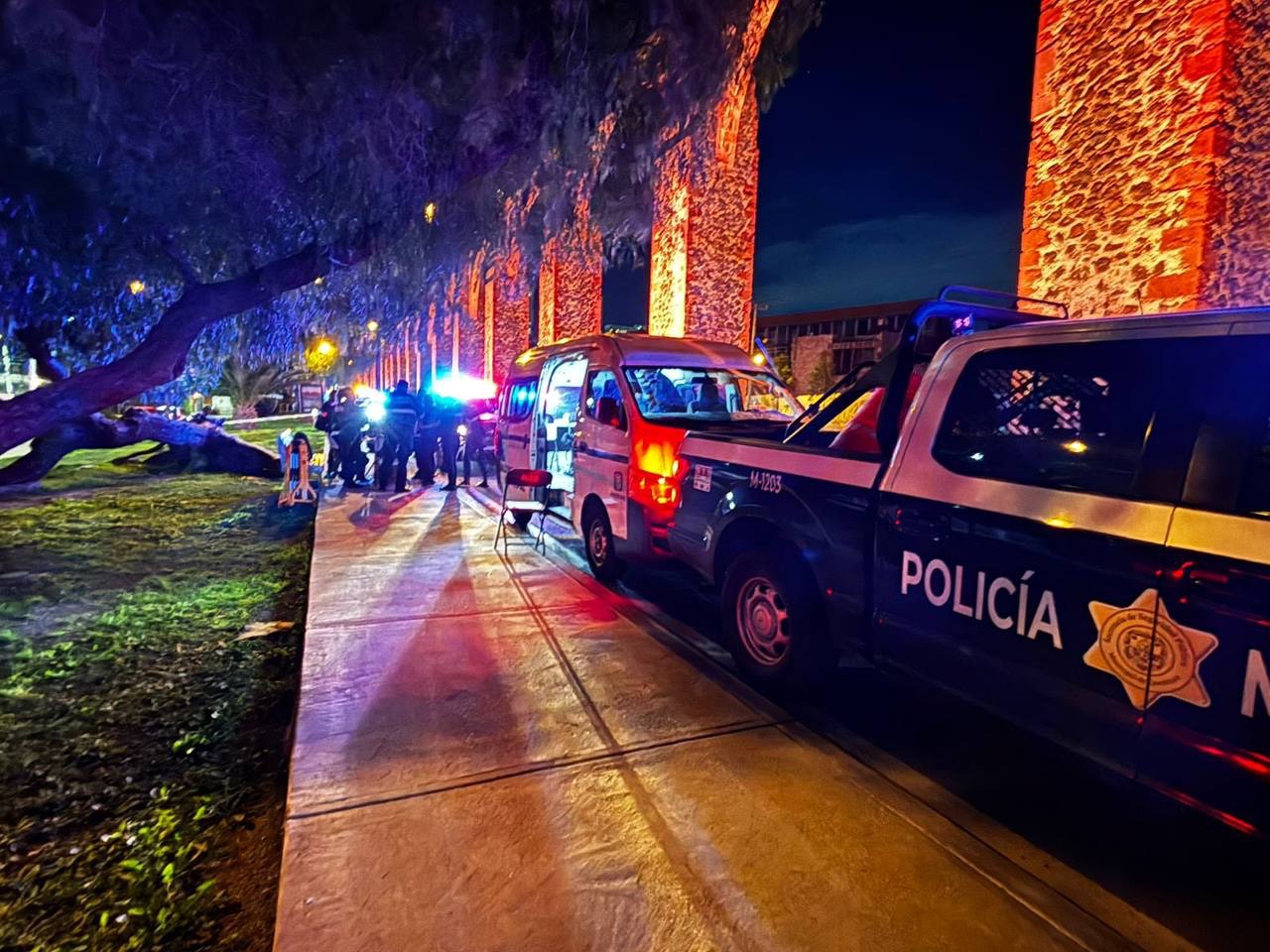 ¡No te confíes! Peñamiller, Jalpan y Querétaro con mayor número de casos de dengue