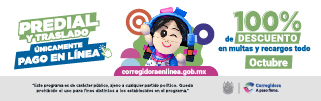 -_EXPRESO QRO 320X100PX PREDIAL