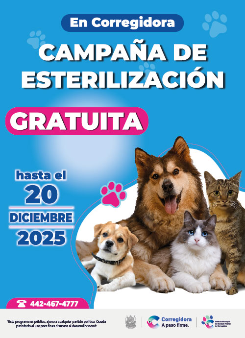 Expreso de Queretaro_500 x 690_Esterilizacion_Mesa de trabajo 1