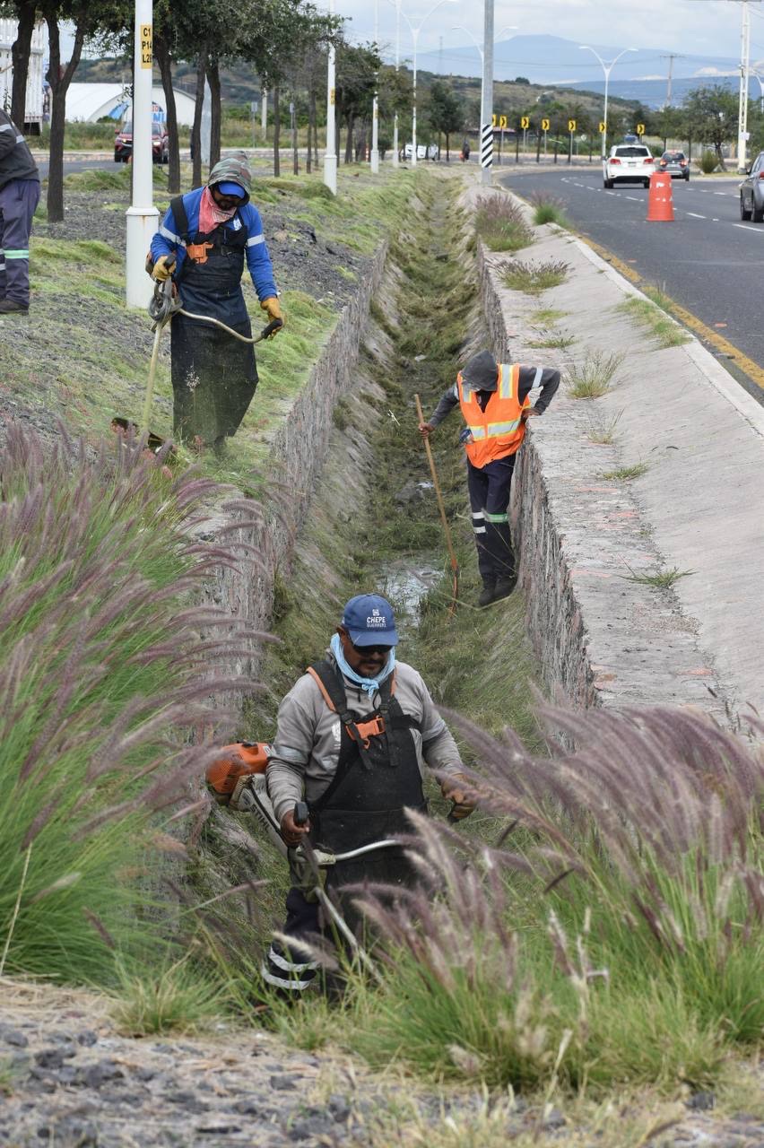 Aprovecha: Querétaro lanza campaña de exhumación y cremación con hasta 67% de ahorro