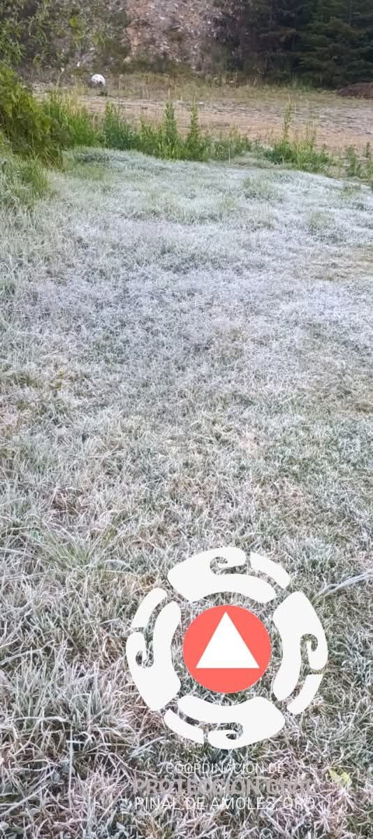 Kuri celebra graduación de nuevos custodios: “Tenemos el mejor sistema penitenciario del país”