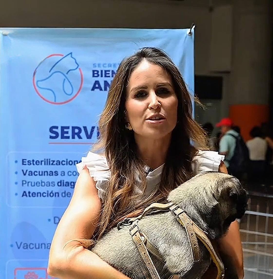 ¿Quieres adoptar? Hay 150 perros y gatos esperando una familia en Querétaro