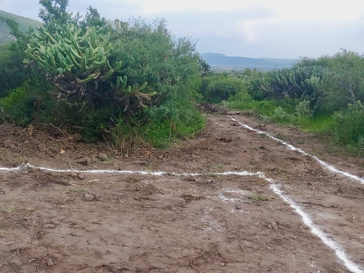 Sorprenden a dos personas removiendo vegetación con maquinaria pesada en Colón; terminaron detenidas