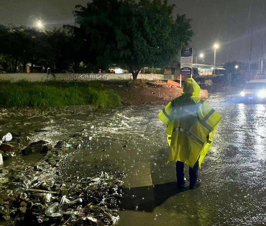 Lluvias dejan ingreso de agua en seis viviendas y caída de un árbol en Querétaro