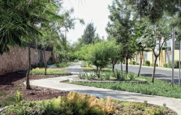 Van por la rehabilitación integral del Parque Lineal Constitución tras diálogo con vecinos