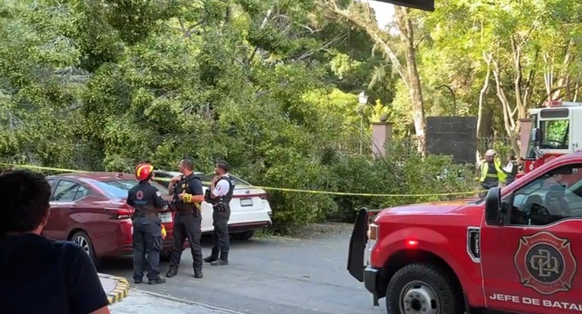 Árbol de la Alameda cae sobre Uber: muere conductor y resultan heridas dos pasajeras