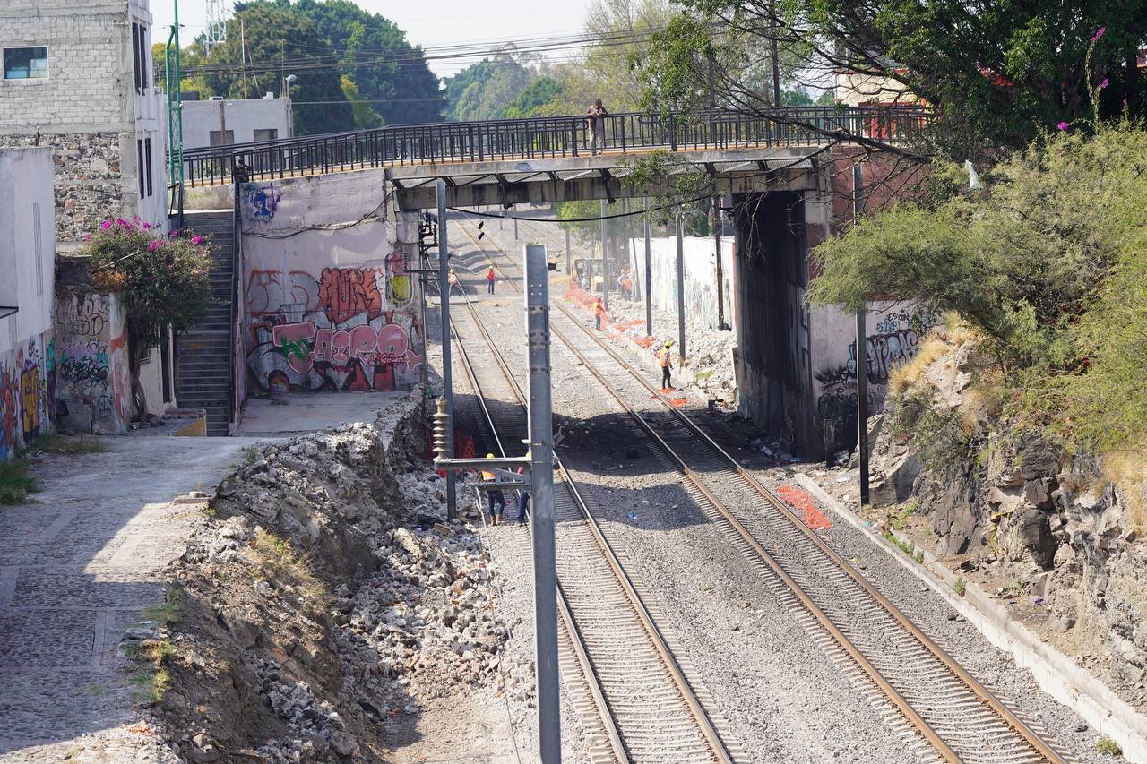 Habrá retiro de árboles en el Tepe; dicen autoridades que todo estará bajo supervisión y con permisos