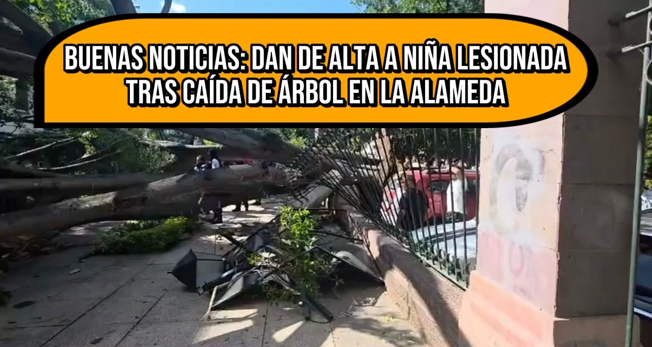 Buenas noticias: dan de alta a niña lesionada tras caída de árbol en la Alameda