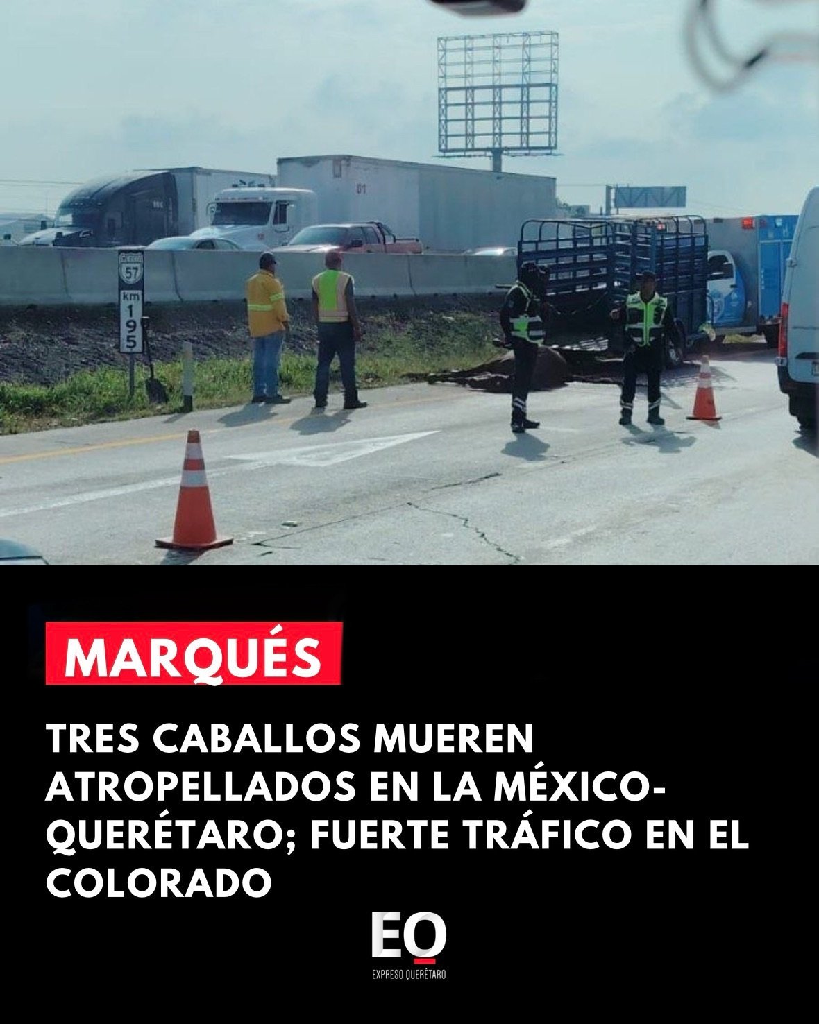 Tres caballos mueren atropellados en la México-Querétaro; fuerte tráfico en El Colorado