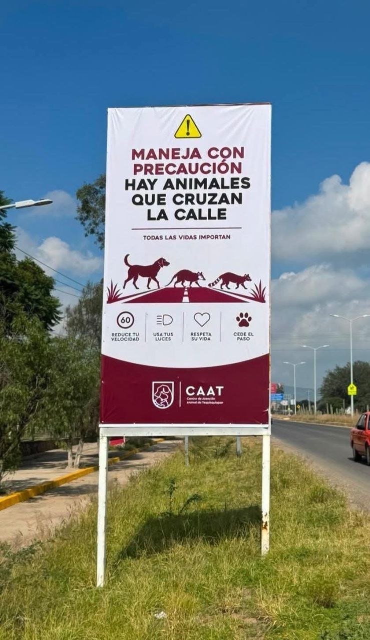 ¡Ojo al volante! Tequisquiapan instala señalamientos para proteger el paso de fauna silvestre