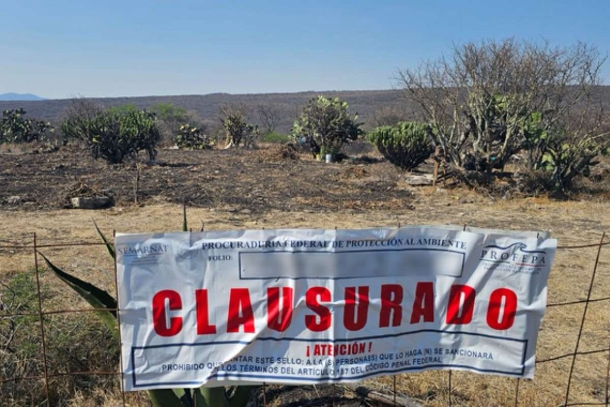 Municipio pone en rojo 14 desarrollos inmobiliarios; advierte riesgo para quienes compren terrenos