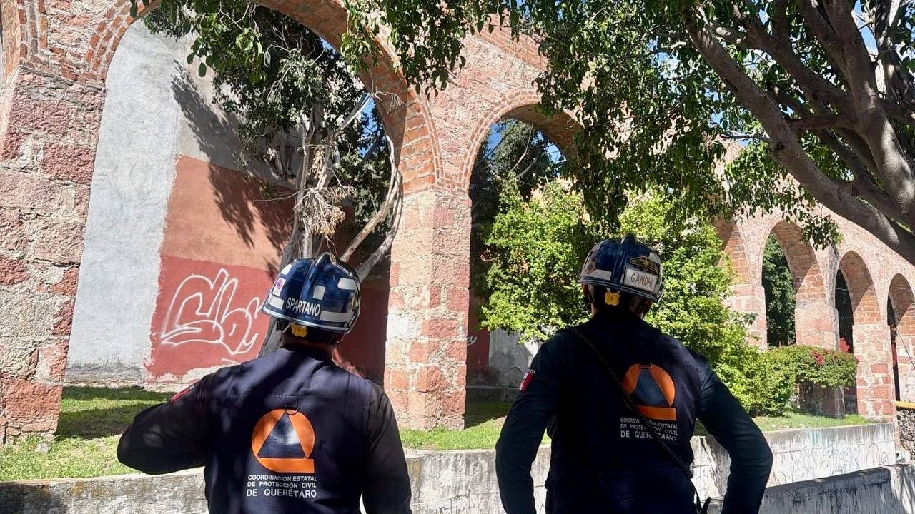 Tras tragedia en la Alameda, Protección Civil revisa árboles de riesgo en Querétaro