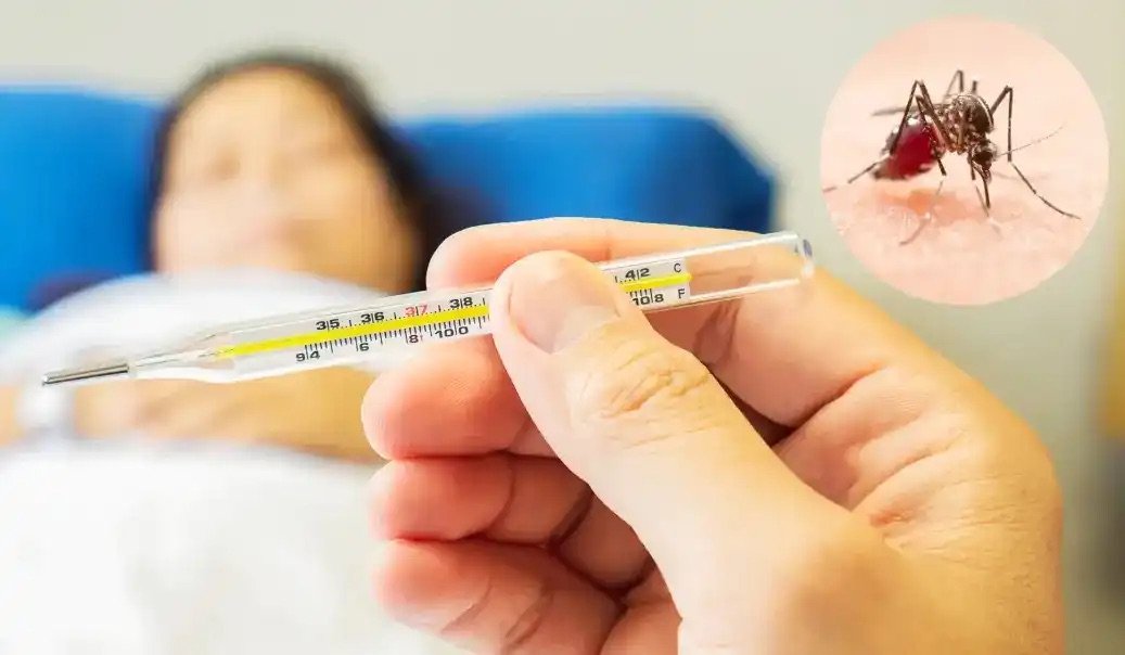 ¡A eliminar criaderos! Querétaro refuerza prevención contra dengue, zika y chikungunya
