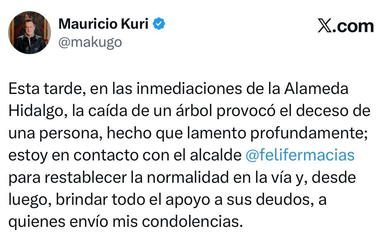 Expresa Kuri condolencias a familia de persona fallecida tras caída de árbol