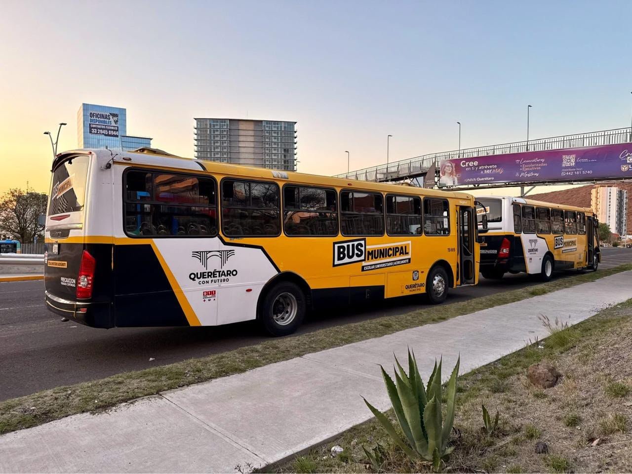 Municipio habilita transporte gratuito para llegar a “Sinfonía en la Queretana”