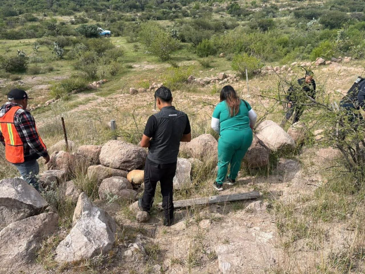 ¡Lo lograron sacar! Rescatan a lomito atrapado en una zona cerril de El Marqués