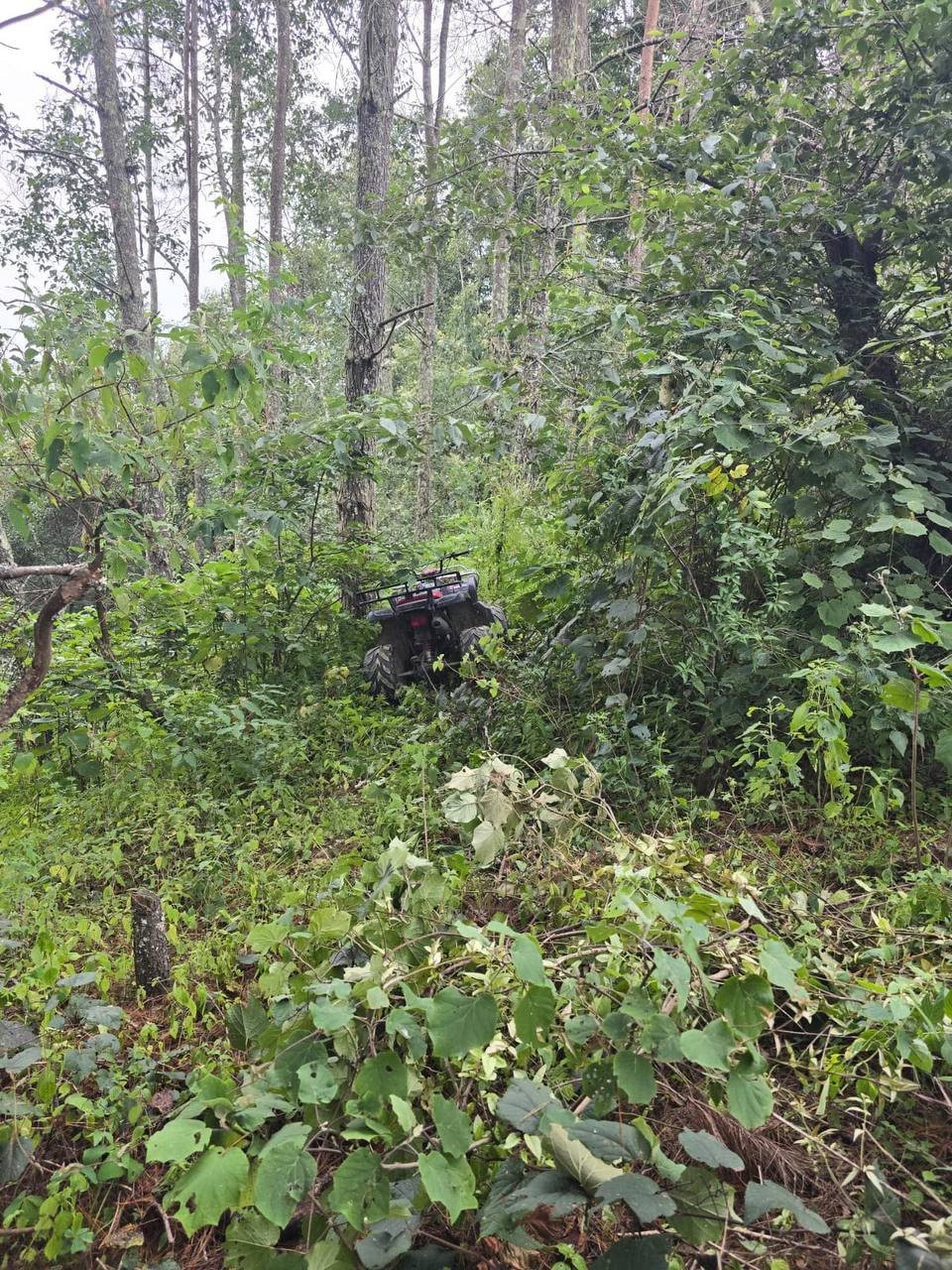 Tras días de búsqueda, Fiscalía encuentra a los tres menores en la Sierra Gorda