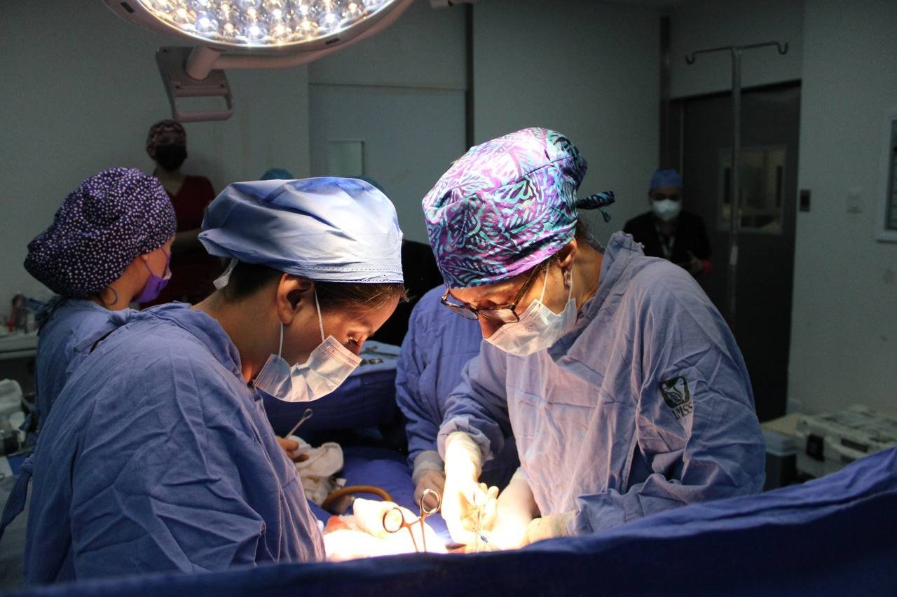 26 de septiembre Día Nacional de Donación; IMSS Querétaro invita a hablar del tema en familia