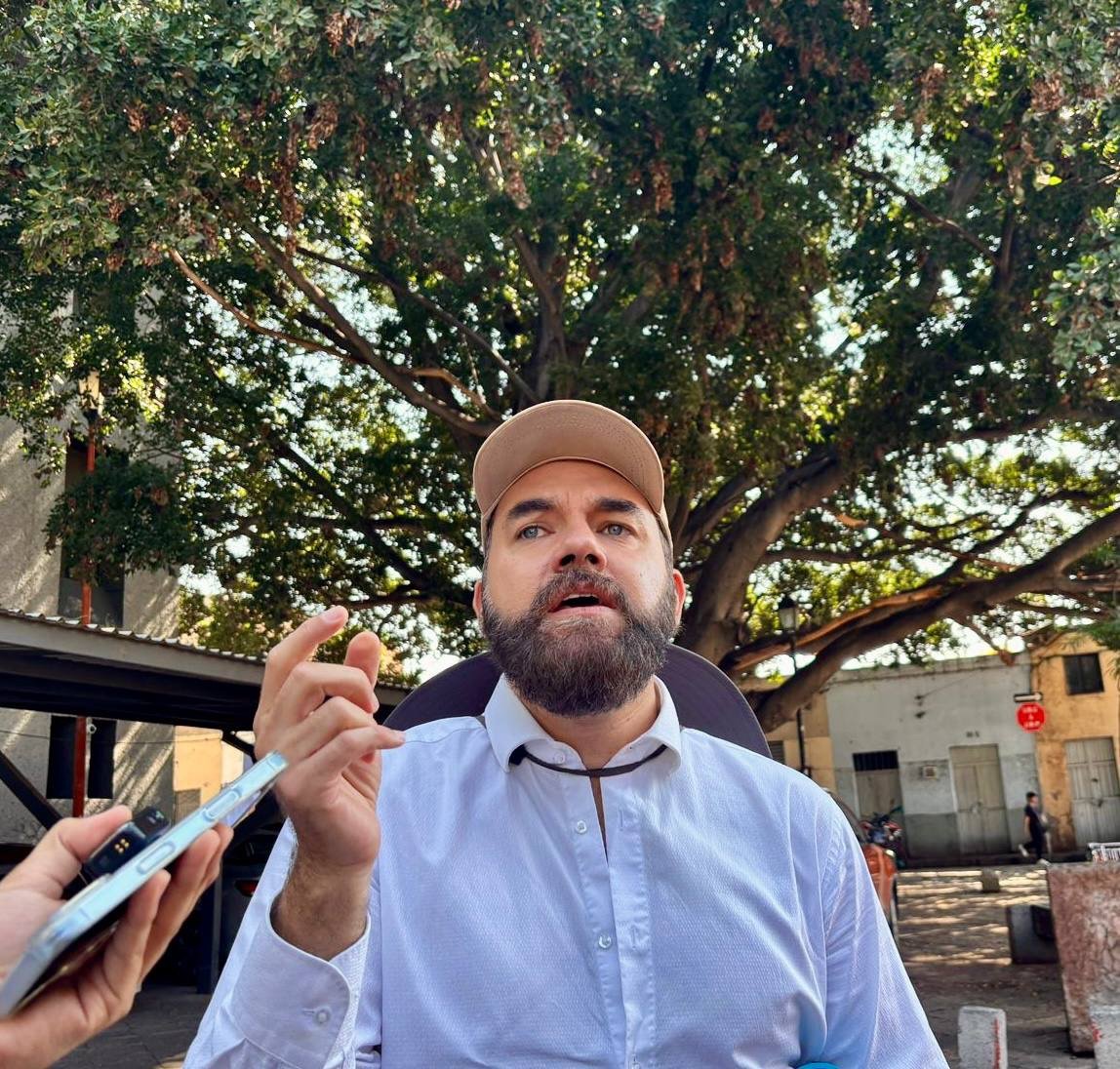 Árboles de hasta 100 años, en riesgo por obras del tren; crean “Telar Verde” para protegerlos