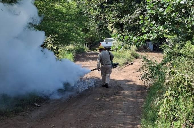 En todo 2026, Querétaro registra solo un caso de dengue