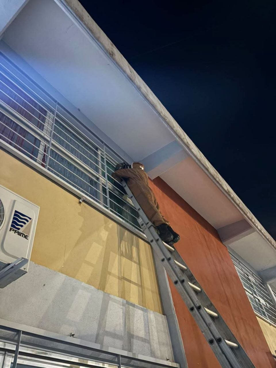 Reubican panal de abejas en escuela primaria de La Cañada