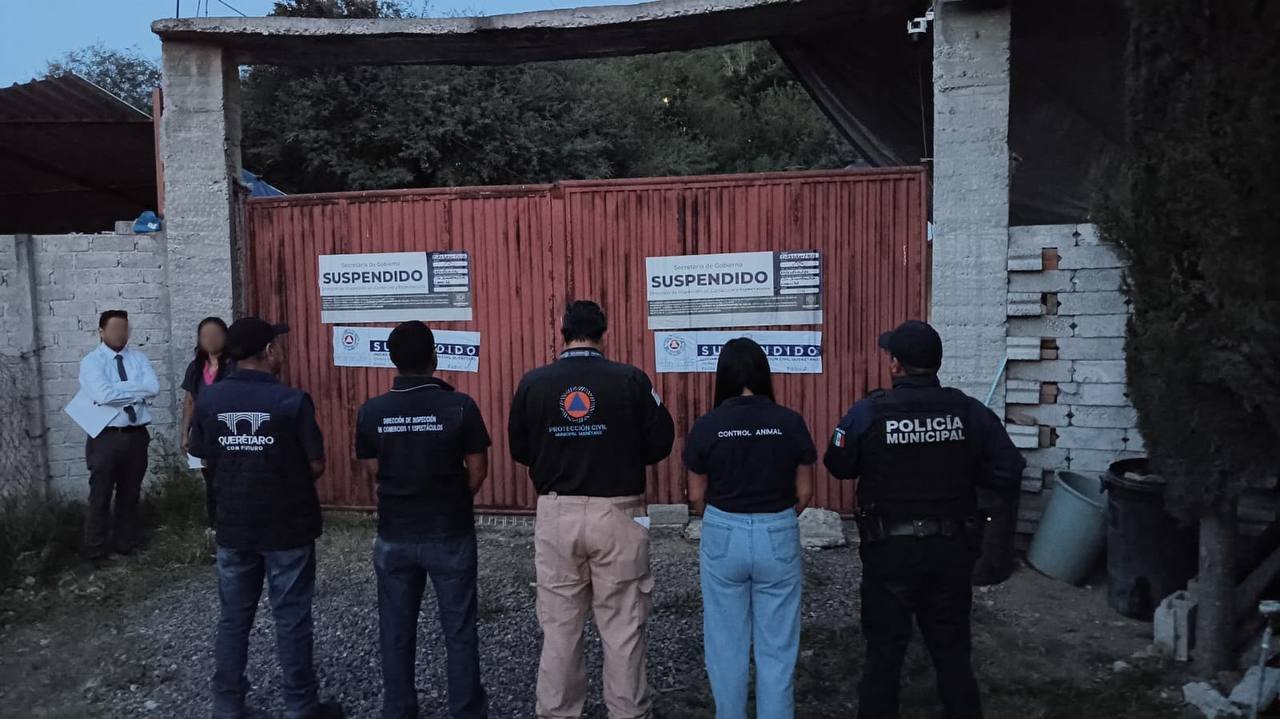 Rescata Municipio 28 perros en malas condiciones en pensión en Juriquilla