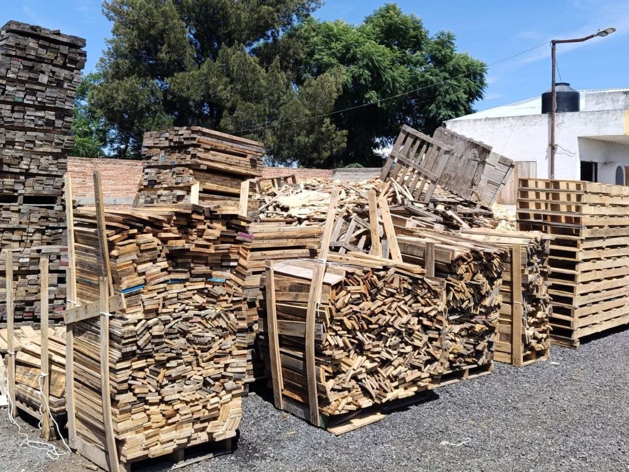 Profepa clausura dos establecimientos en Querétaro por realizar tratamientos de madera sin permisos