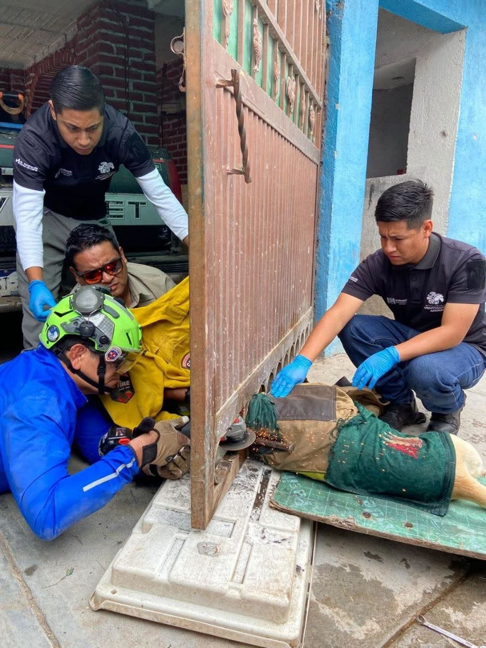 Rescate de cuatro patas; liberan a perro atrapado en un portón en Amazcala