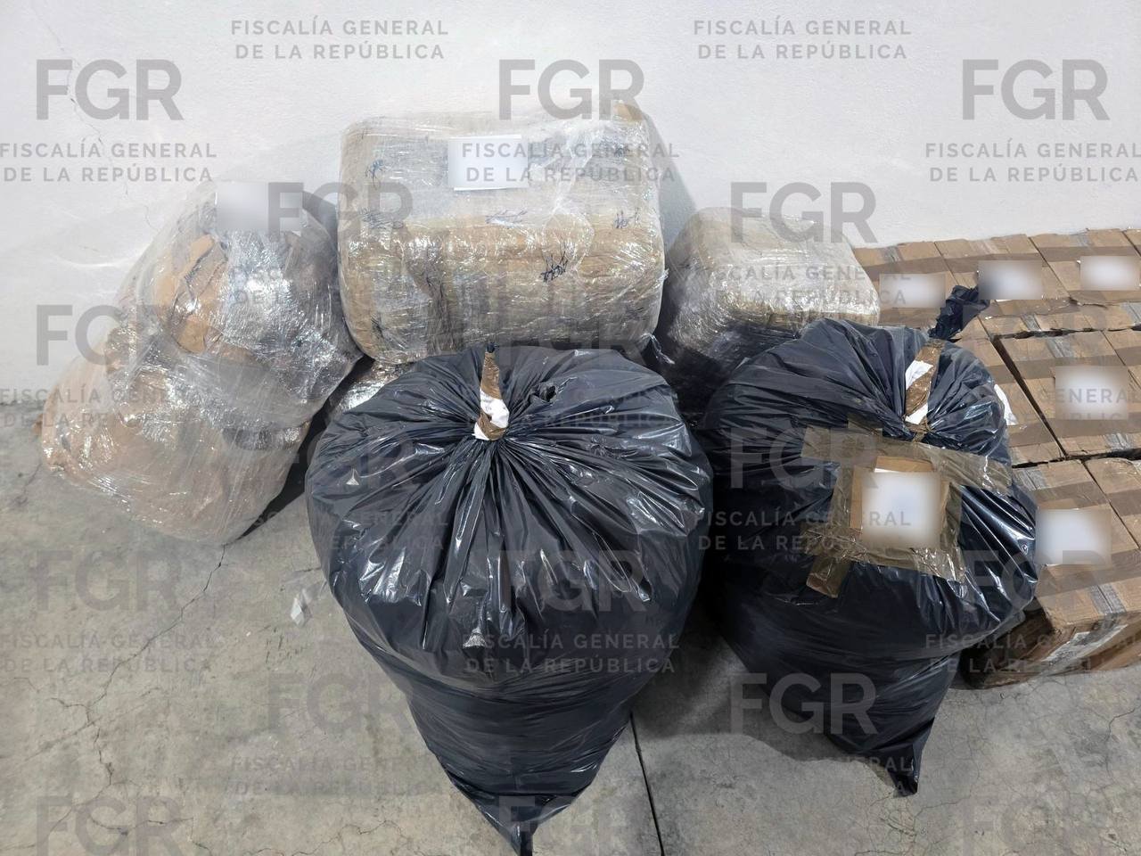 Destruye la FGR 186 kilos de drogas aseguradas en Querétaro