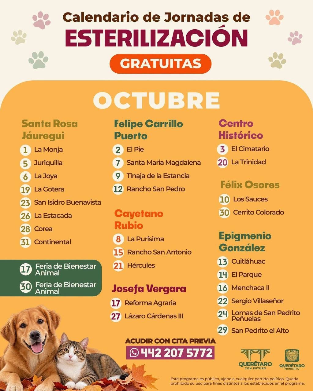 Perros y gatos podrán ser esterilizados gratis: estas son las fechas y colonias de octubre en la capital
