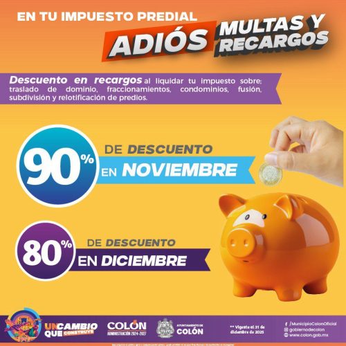 photo_2025-11-17 14.43.56